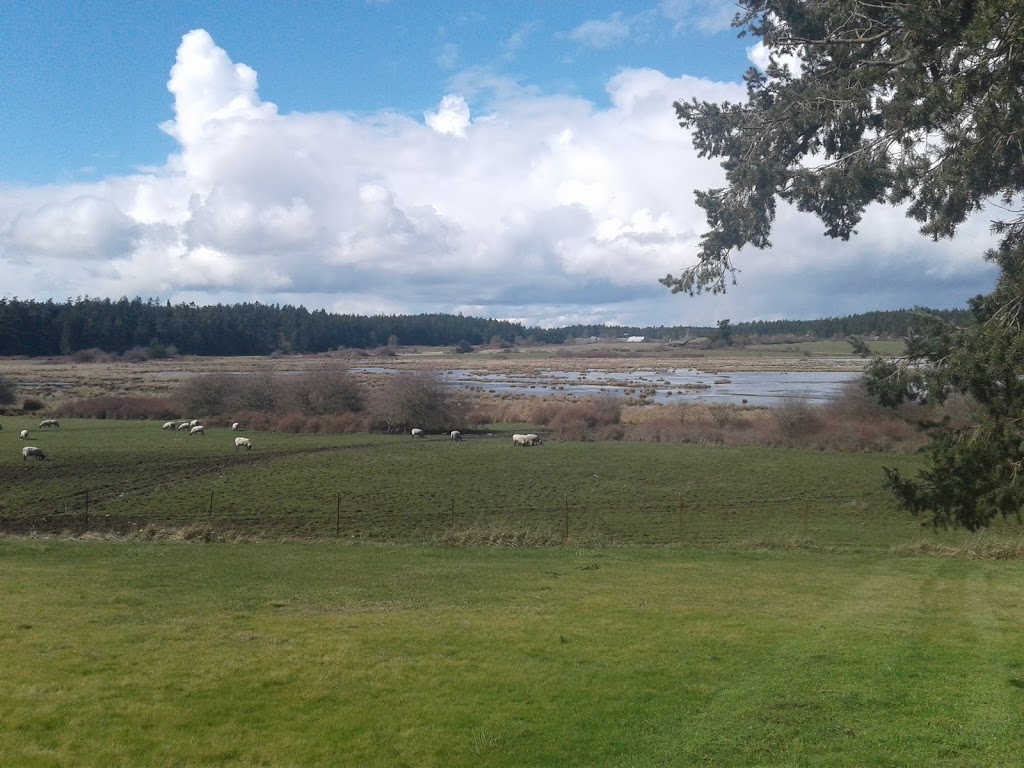 St. Francis Catholic Church | 312 Davis Bay Rd, Lopez Island, WA 98261, USA | Phone: (360) 378-2910