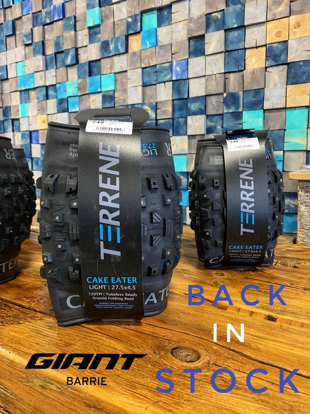 GIANT BARRIE | 1005 Snow Valley Rd, Springwater, ON L9X 0V5, Canada | Phone: (705) 734-2999