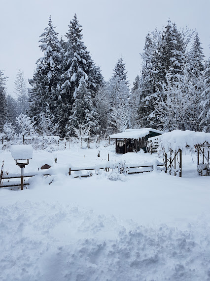 Copper Fern Guest House | 3694 Lake Trail Rd, Courtenay, BC V9N 9M9, Canada | Phone: (250) 650-7115