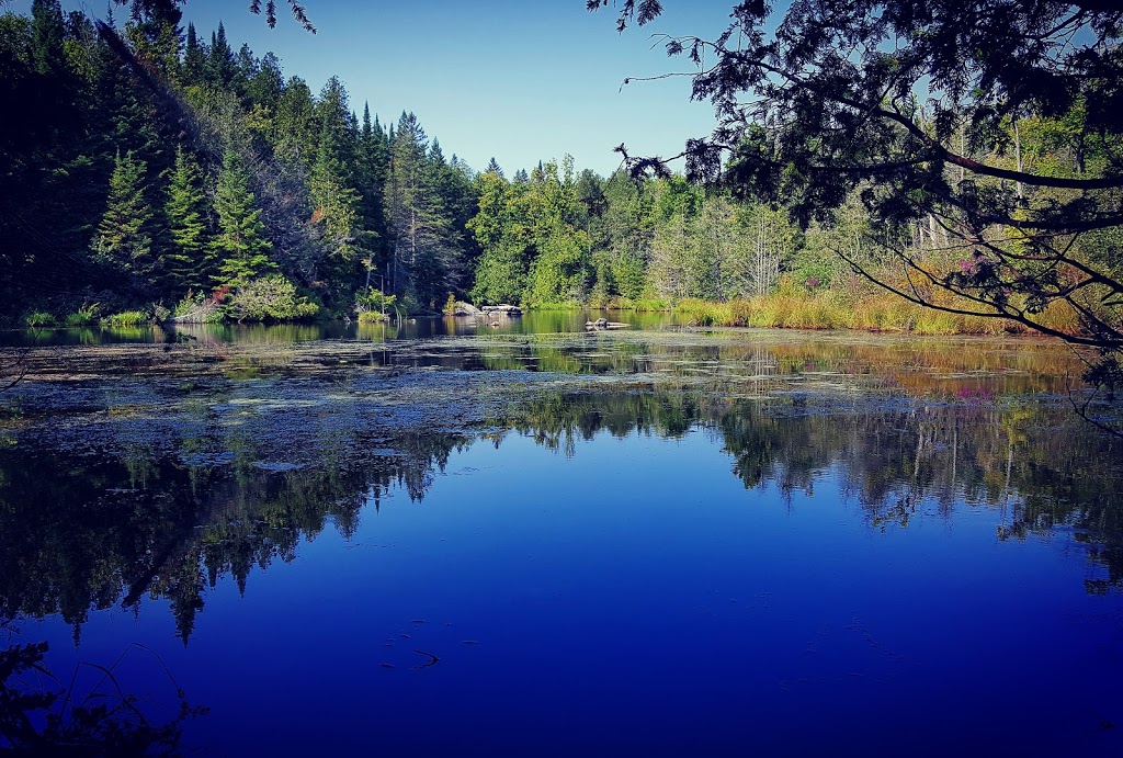 Warsaw Caves Conservation Area and Campground | 289 Caves Rd, Warsaw, ON K0L 3A0, Canada | Phone: (705) 652-3161