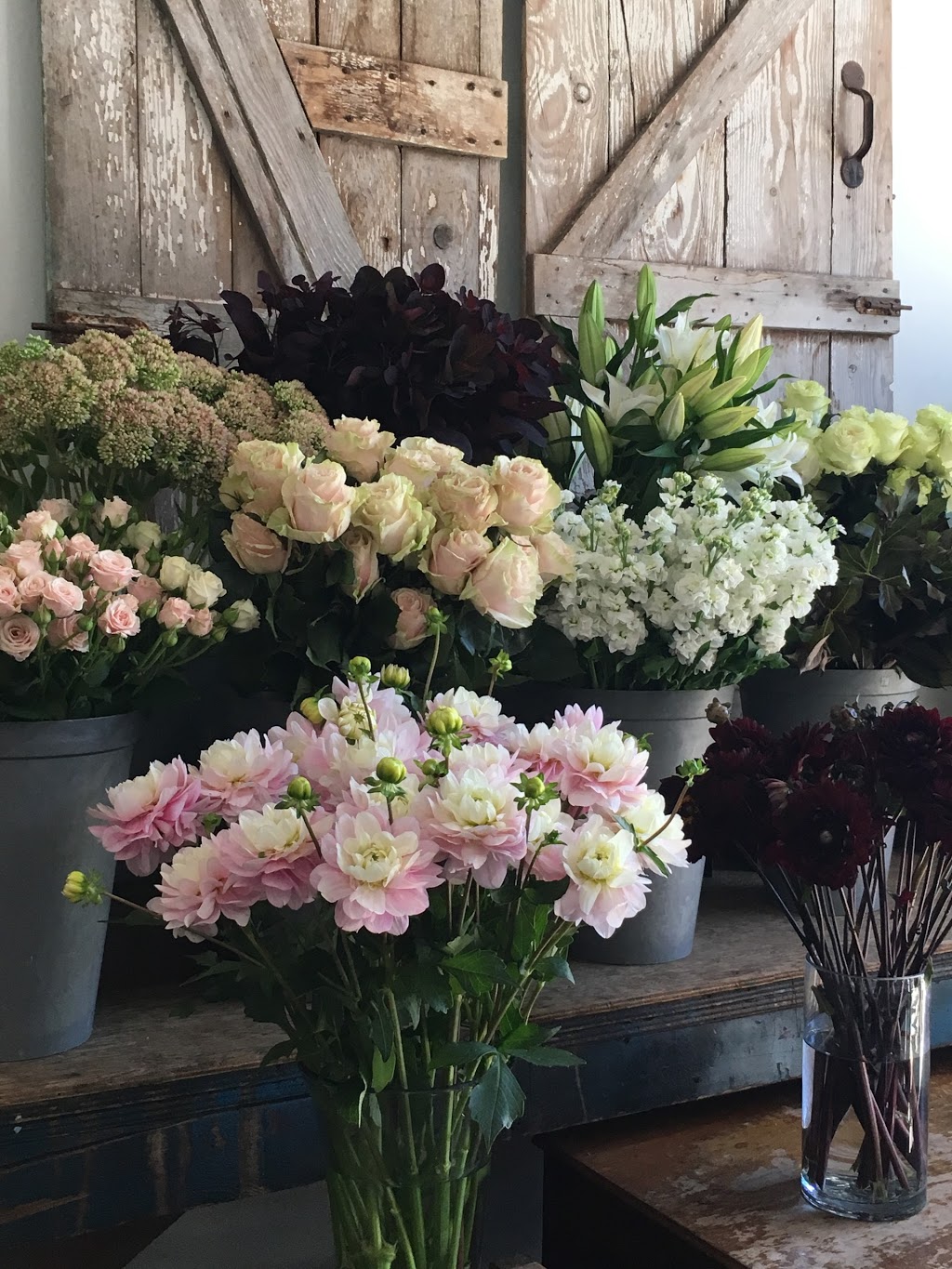 Flowers & Company | 1446 Johnston Rd, White Rock, BC V4B 3Z5, Canada | Phone: (604) 531-0015