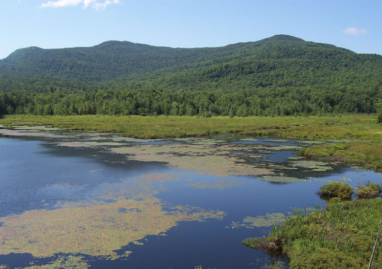 Orford 3.0 | 2530 Chem. du Parc, Orford, QC J1X 8R8, Canada | Phone: (819) 481-1773