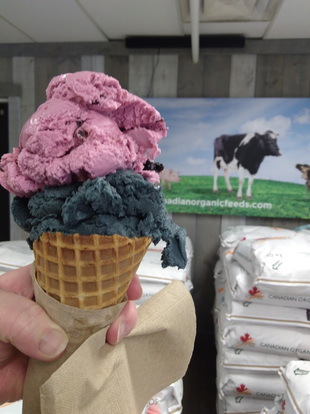 Kents Ice Cream Co | 47582 Yale Rd, Chilliwack, BC V2P 7N1, Canada
