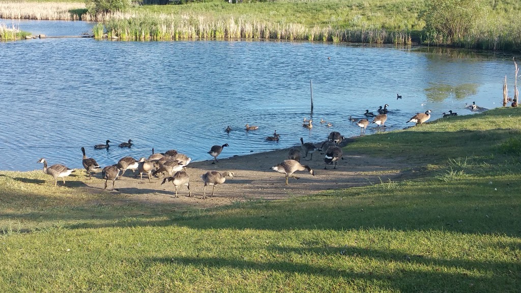 Lakewood Park, Saskatoon, Saskatchewan | 1535 McKercher Dr, Saskatoon, SK S7H 5L3, Canada