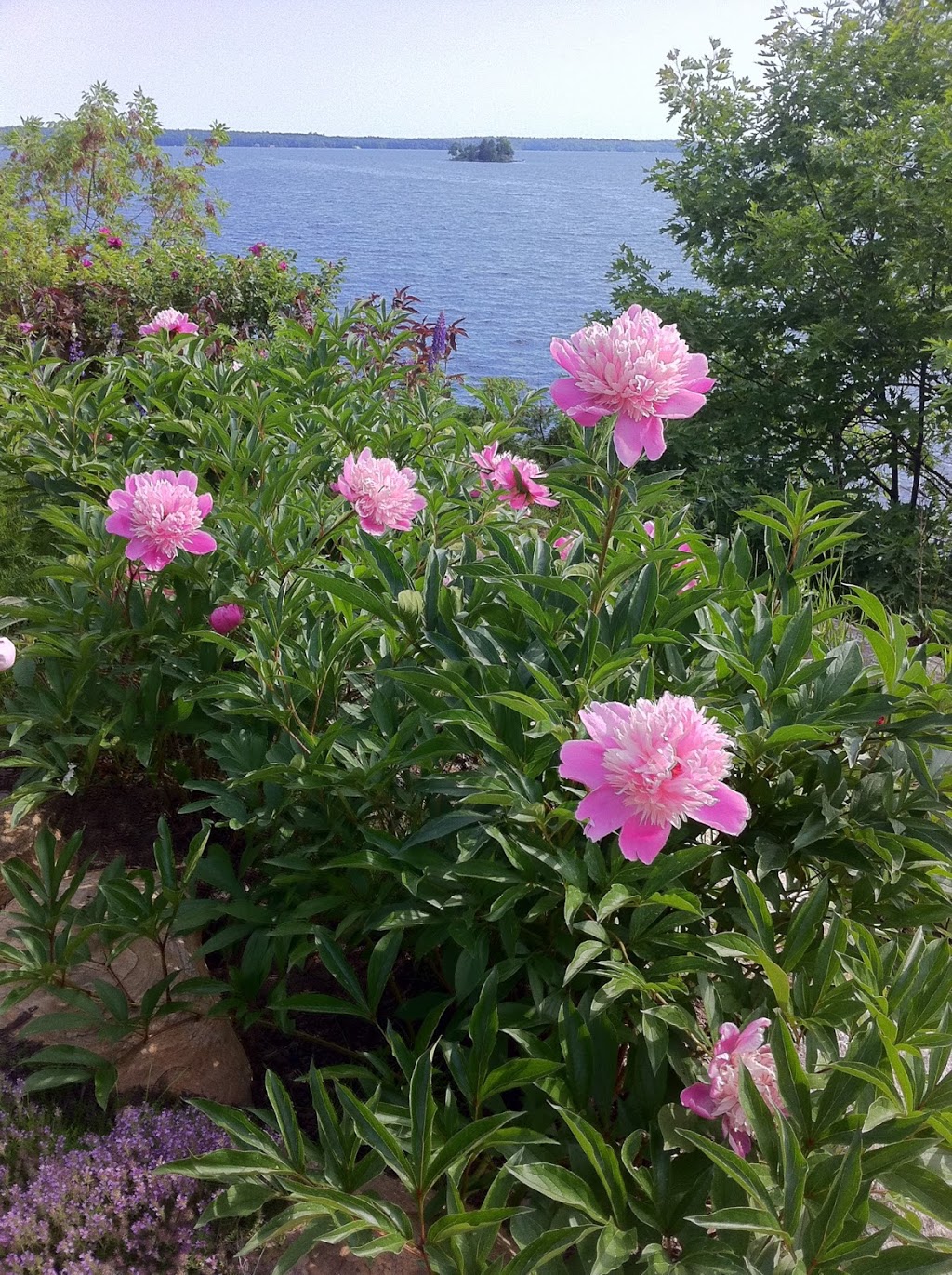 *Muskoka Soul - The Lake House* | Luxury Muskoka Cottage Rentals | 1016 Lawland Heights Rd, Gravenhurst, ON P1P 1R2, Canada | Phone: (416) 294-1590