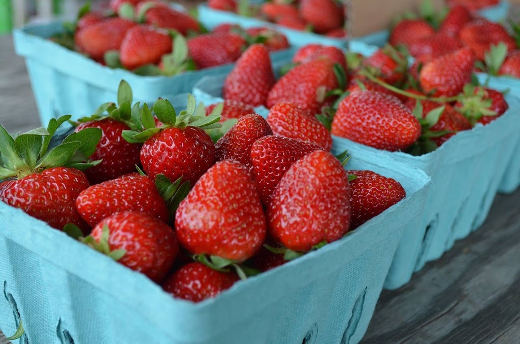 Wasaga Beach Farmers Market | 1724 Mosley St, Wasaga Beach, ON L9Z 1Z8, Canada | Phone: (647) 522-8703
