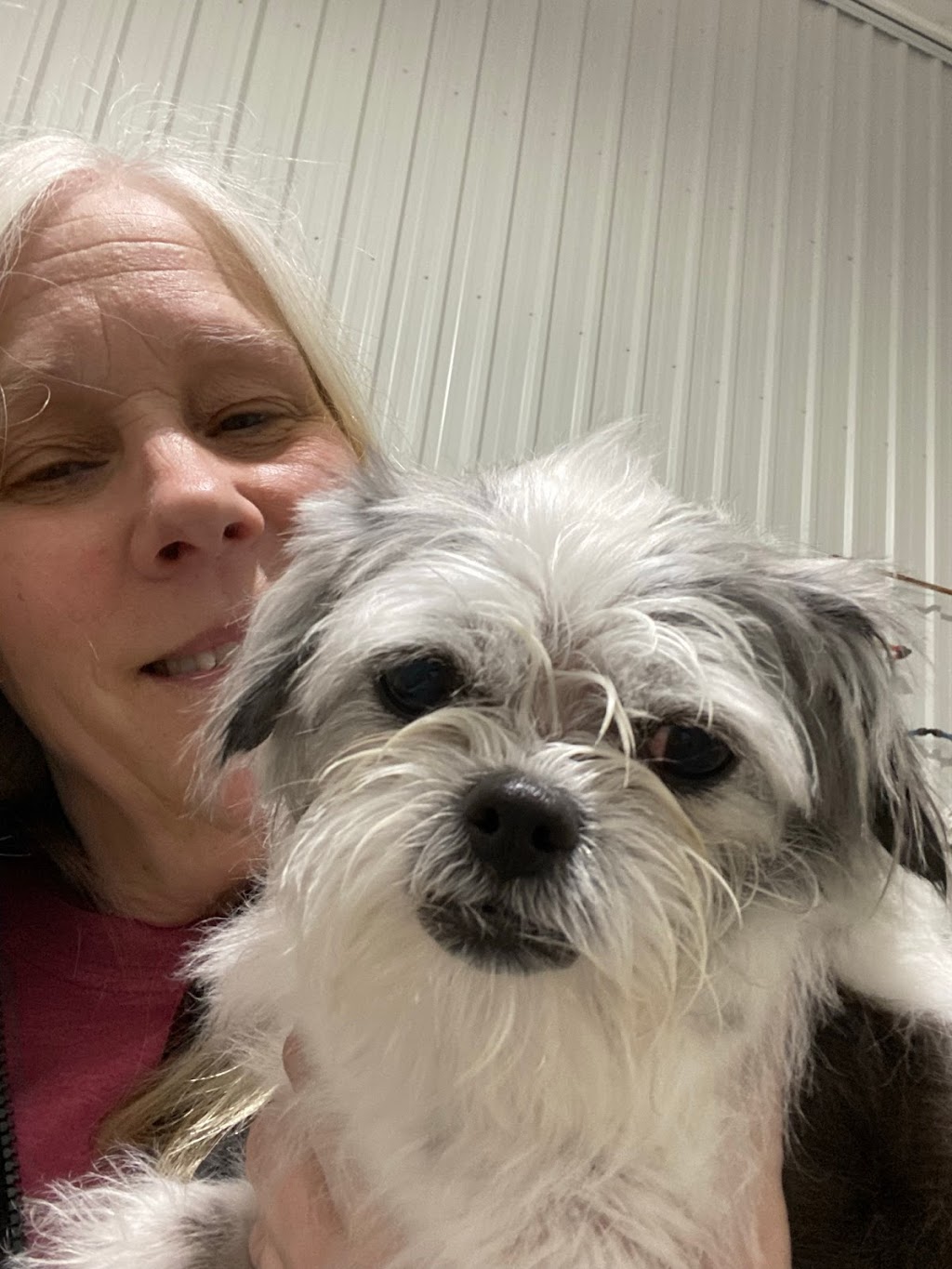 Roc N Dukes Pet Supplies Mount Forest | 219 Industrial Dr, Mount Forest, ON N0G 2L1, Canada | Phone: (888) 489-3431