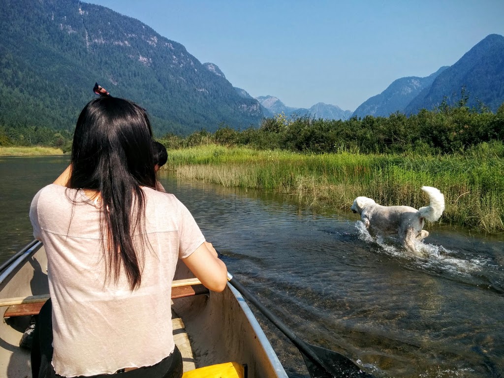 Widgeon Valley National Wildlife Area | Greater Vancouver A, BC, Canada
