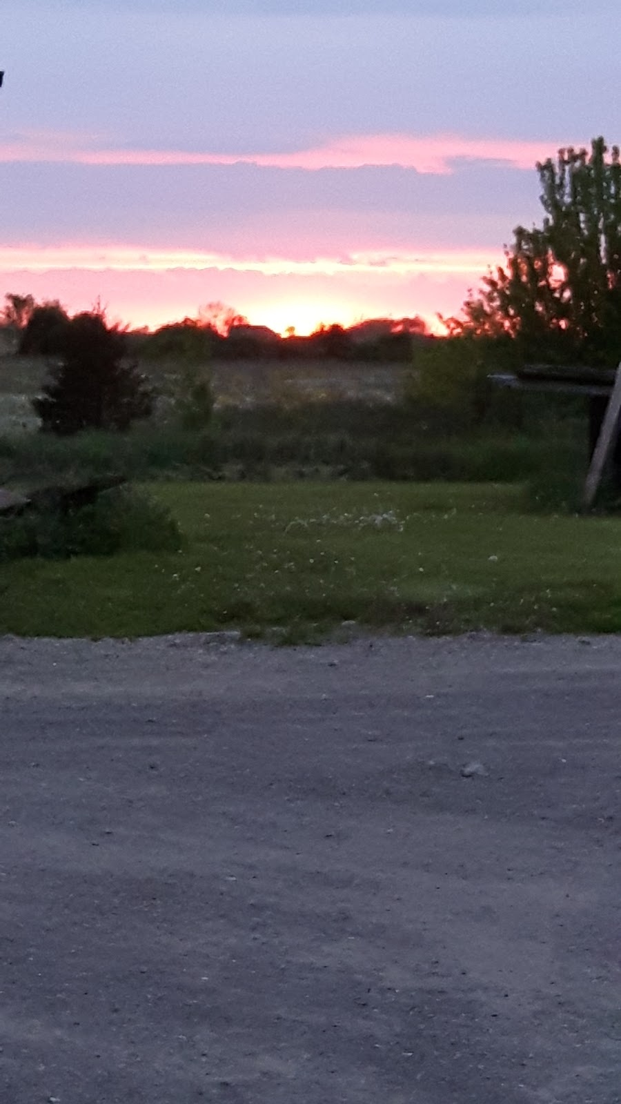 C & E Farms | 6917 Silver St, Saint Anns, ON L0R 1Y0, Canada | Phone: (905) 386-0619
