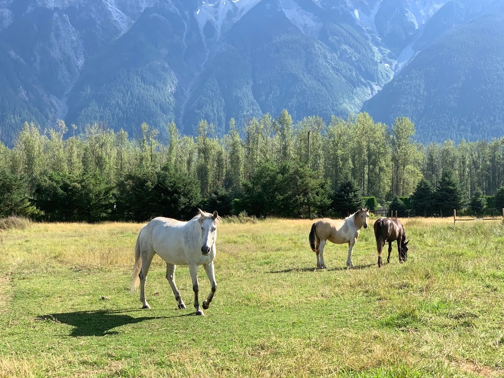 Pemberton Hostel | 1641 Airport Rd, Pemberton, BC V0N 2L3, Canada | Phone: (604) 418-5069