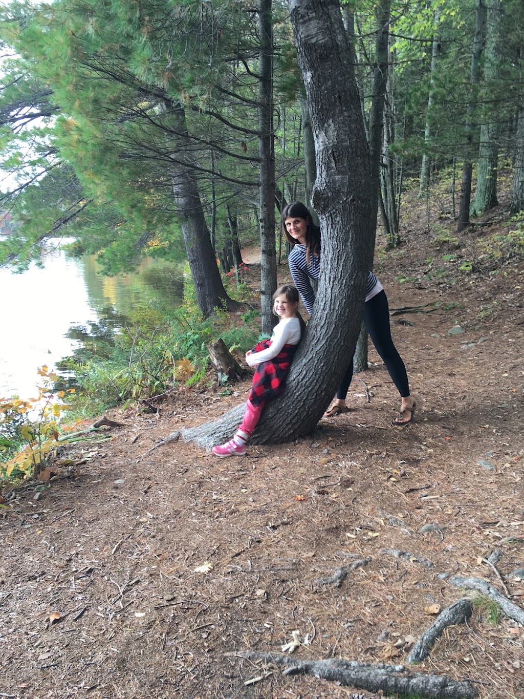 Mountain Road Homestead - Forest and Garden School | 1091 Dickson Rd, Renfrew, ON K7V 3Z4, Canada | Phone: (613) 858-1254