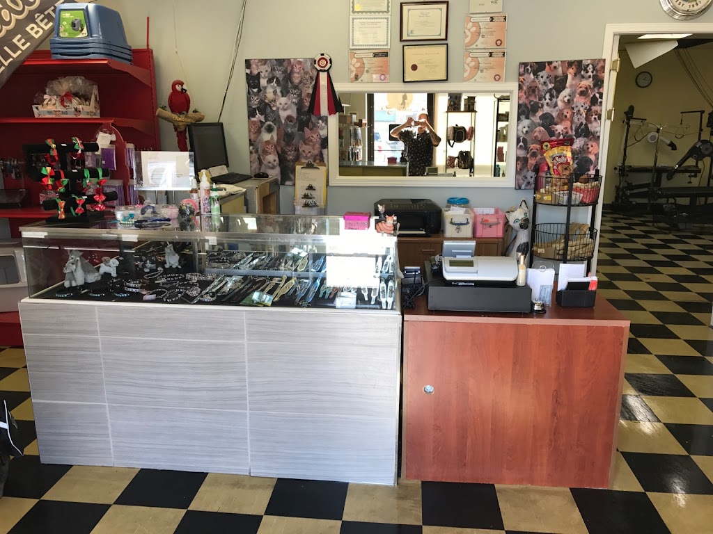 Studio Belle Bête | 178 Bd Gréber, Gatineau, QC J8T 6Z6, Canada | Phone: (819) 243-1118