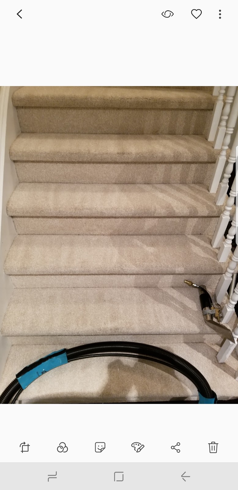 Magic Carpet Cleaning | 12 Gaudi Rd, Scarborough, ON M1B 0B4, Canada | Phone: (437) 999-3842
