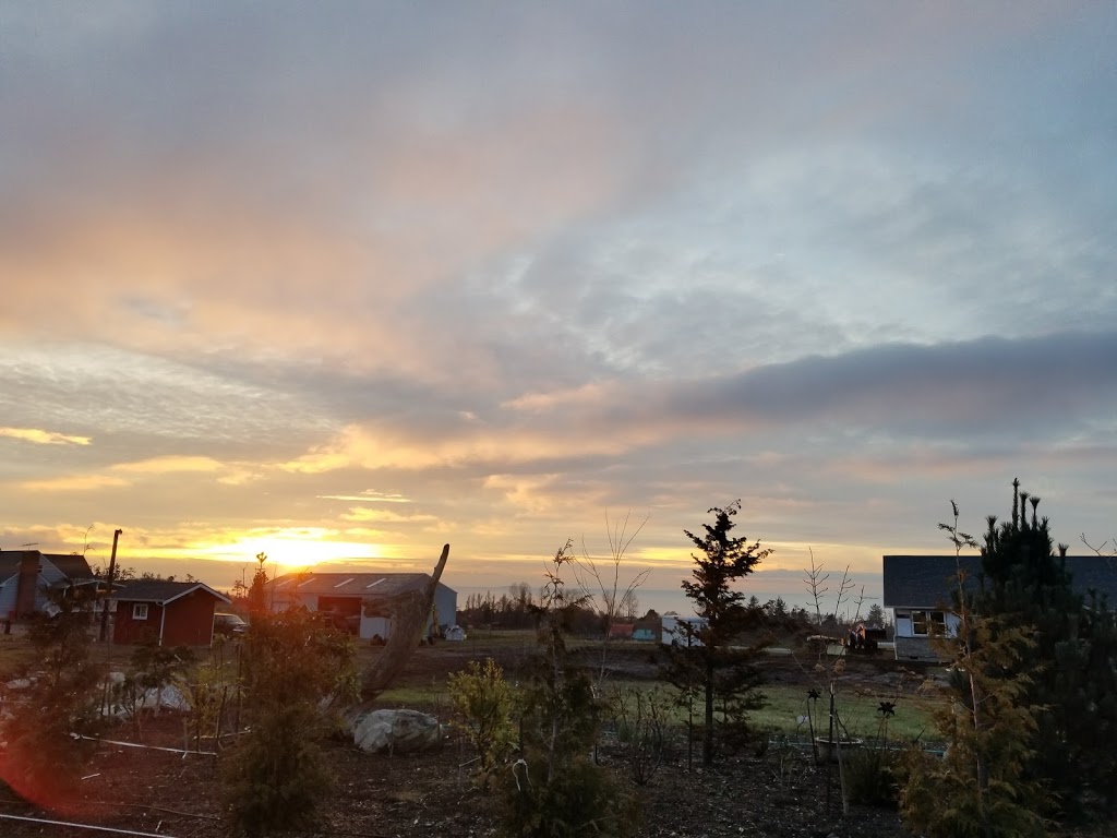 SOUNDVIEW SHOPPER | 39757 WA-20, Oak Harbor, WA 98277, USA | Phone: (360) 675-6132