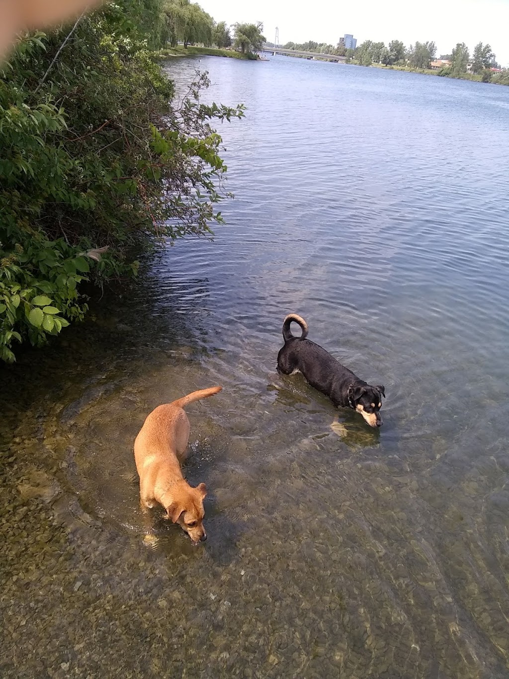 Welland SCUBA Park | Lincoln St, Welland, ON L3B, Canada | Phone: (519) 318-0367