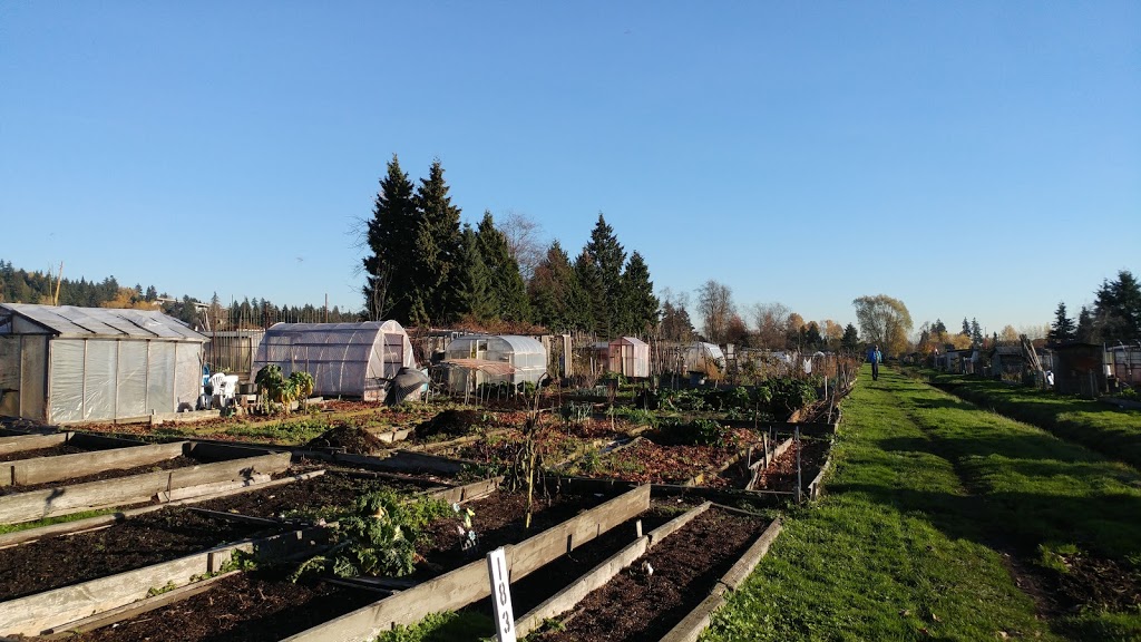 Burnaby and Region Allotment Garden | Meadow Ave, Burnaby, BC V3N 1Y6, Canada