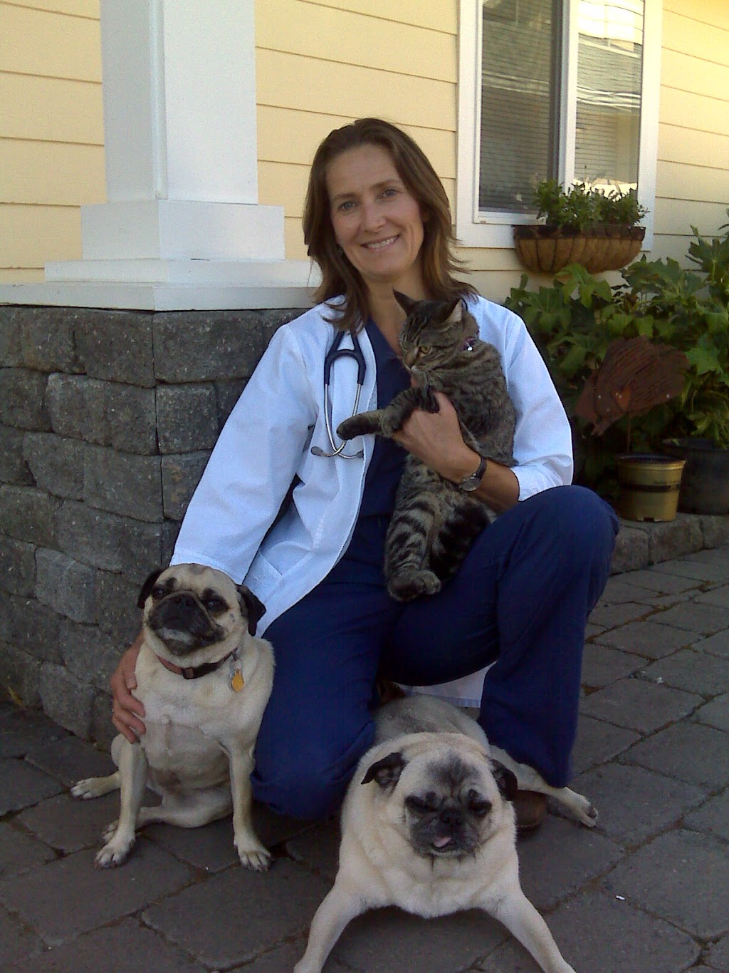 Sonja C. Webster-Hills, DVM | 850 Mullis St, Friday Harbor, WA 98250, USA | Phone: (360) 378-2333