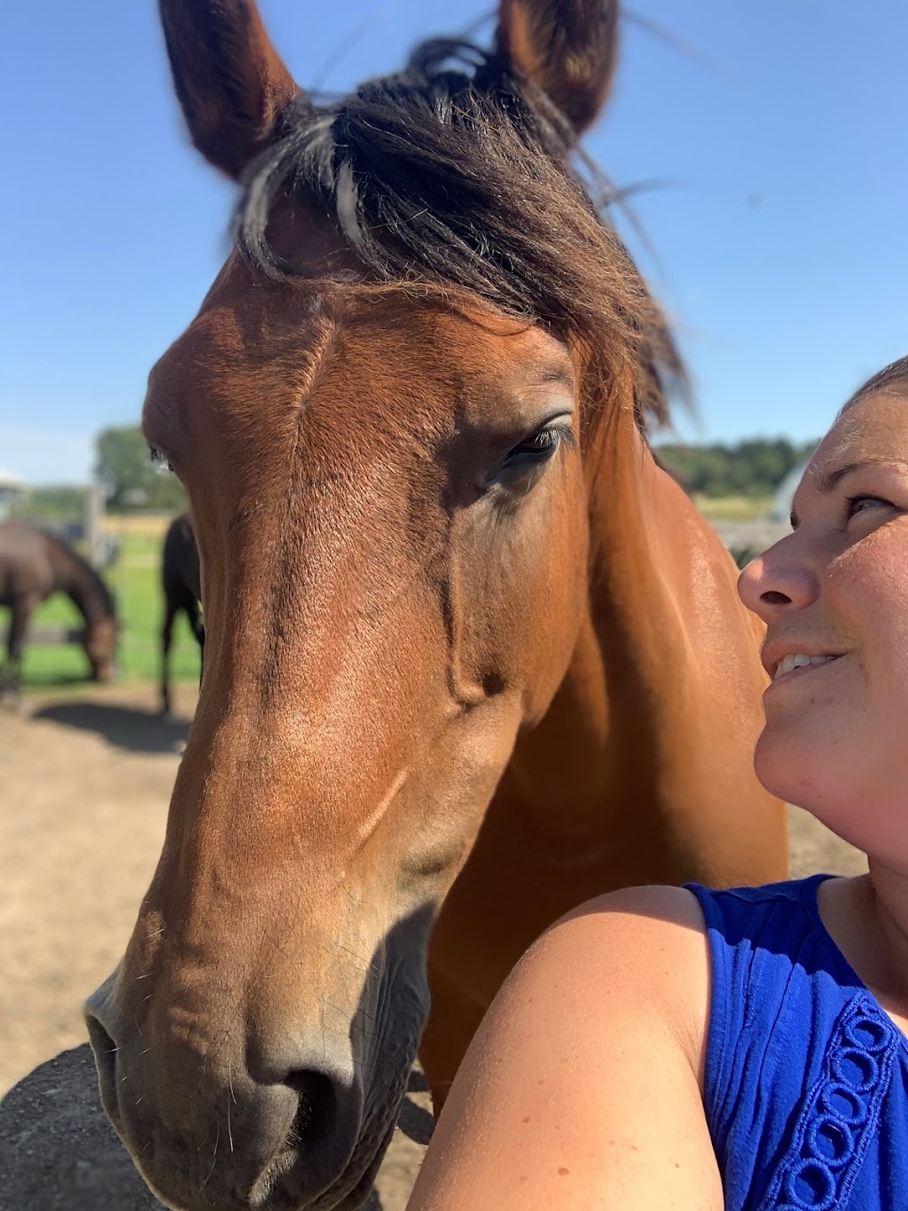 LaVoie du cheval | 90 2 Rang E, Trois-Pistoles, QC G0L 4K0, Canada | Phone: (450) 302-9729