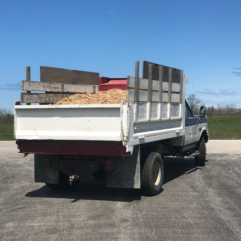 Southern Tree Service | 828254 Mulmur Nottawasaga Townline, Mulmur, ON L9V 0Y7, Canada | Phone: (705) 443-7789