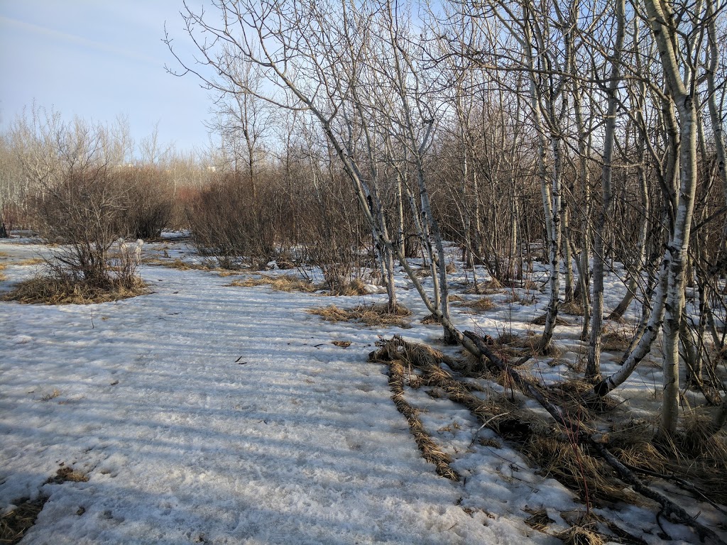Brenda Leipsic Off-leash Dog Park | Hurst Way, Winnipeg, MB R3T 0W7, Canada | Phone: (877) 311-4974