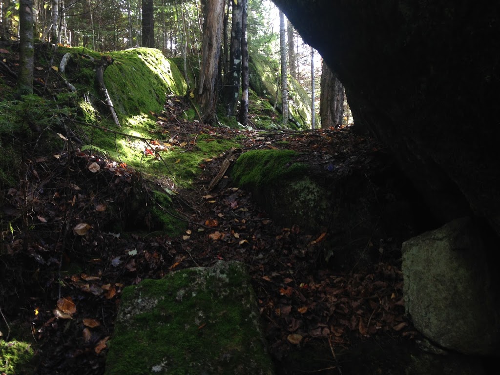 Refuge de la Forêt Boréale | 138 Chemin du Nordet, Lac-Supérieur, QC J0T 1P0, Canada | Phone: (819) 200-0530