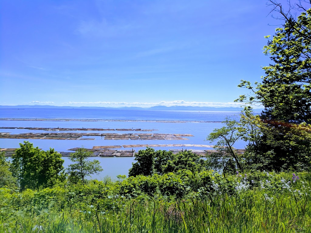 Pacific Spirit Regional Park | 5495 Chancellor Blvd, Vancouver, BC V6T 1E4, Canada | Phone: (604) 224-5739
