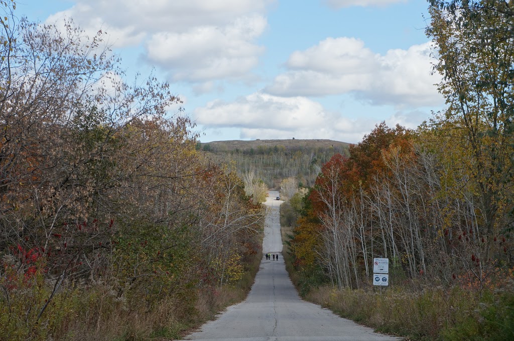 Dean Park | 80 Dean Park Rd, Scarborough, ON M1B, Canada