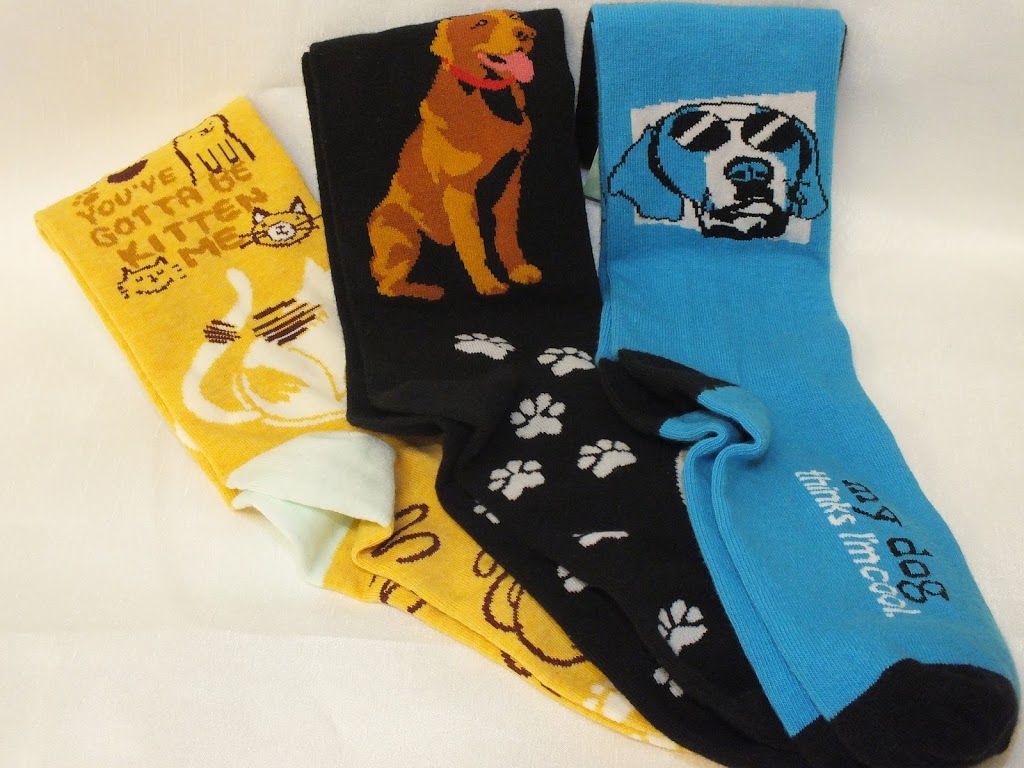 Oh My Fur and Whiskers! | 257 Talbot St, St Thomas, ON N5P 1B3, Canada | Phone: (519) 207-7387