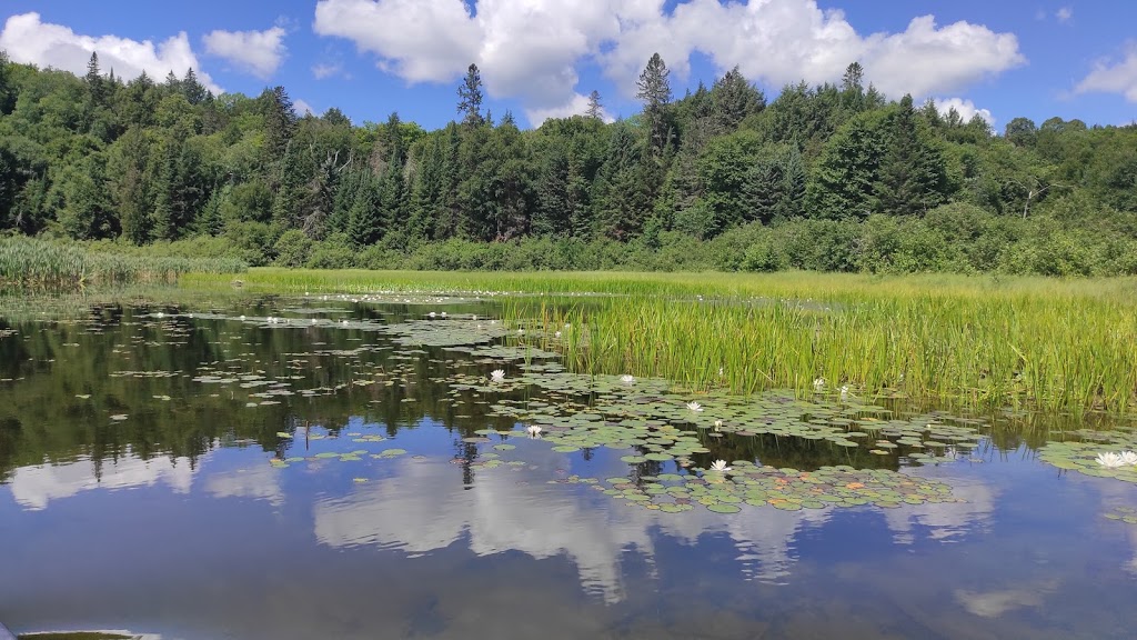Camping Sauvage Céraro | 76 Chemin des Défricheurs, La Minerve, QC J0T 1S0, Canada | Phone: (819) 274-2314
