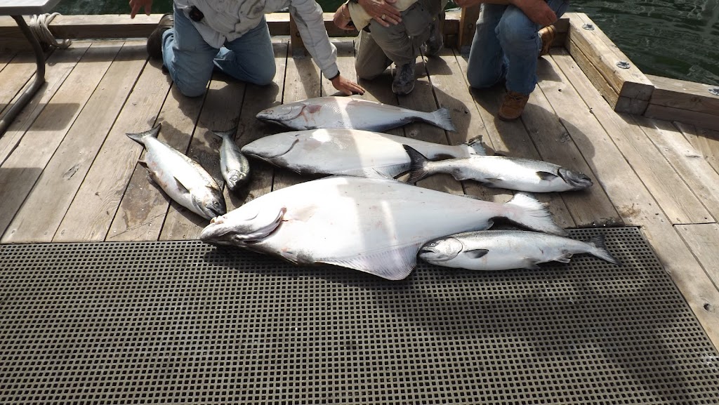 Club SeaKing Adventures / Fishing & Wildlife Tours | 10441 Resthaven Dr, Sidney, BC V8L 3H6, Canada | Phone: (250) 920-6531