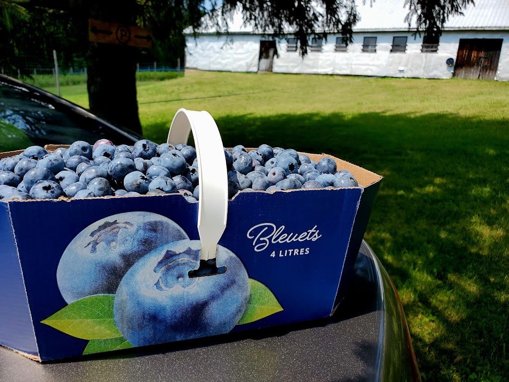 Bleuetière Erablière Biologiques Au Fin Délice | 1106 Chem. Saint-Henri, Très-Saint-Rédempteur, QC J0P 1P1, Canada | Phone: (450) 459-4444