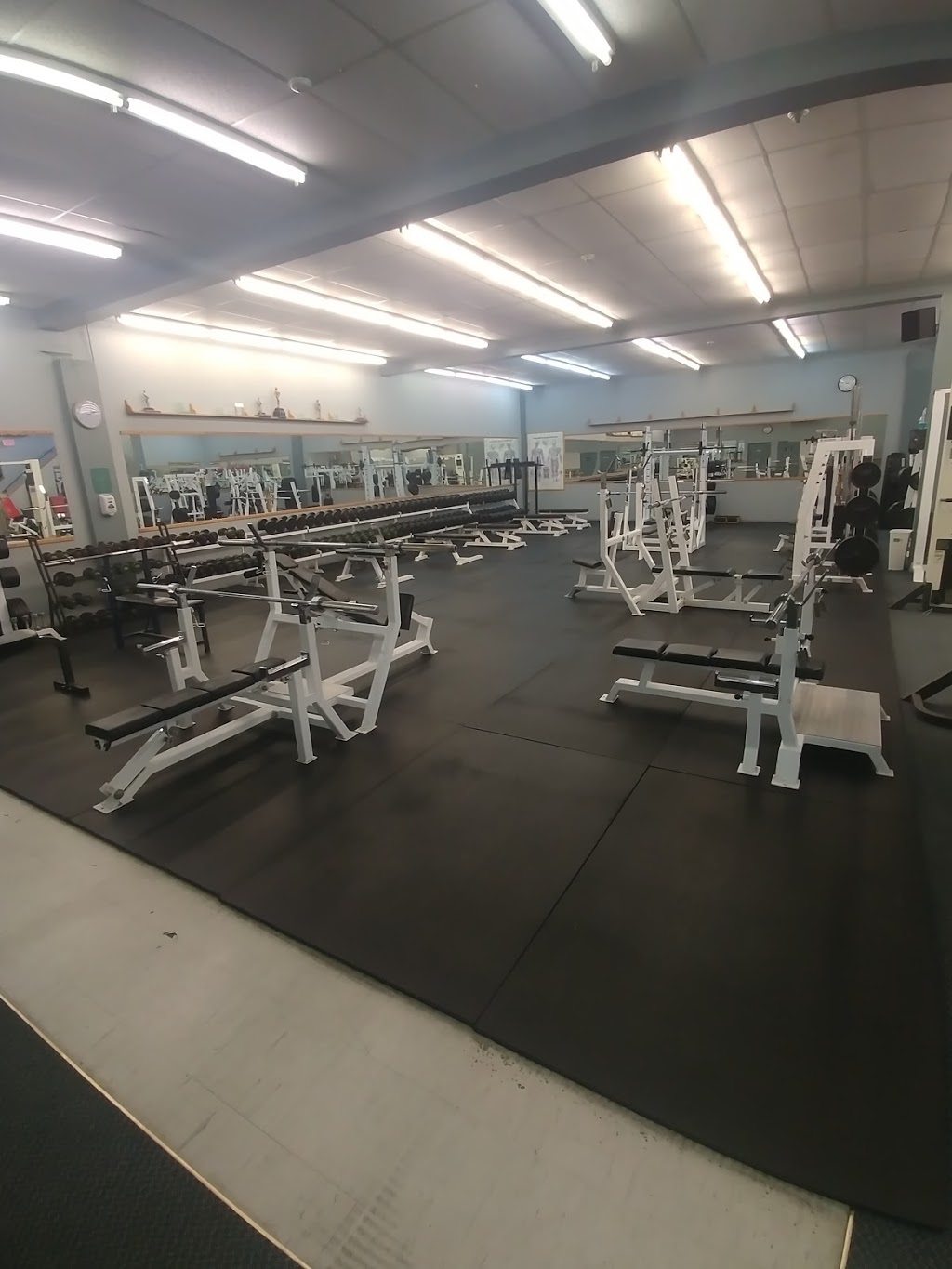 The Weight Room | 402 Laclie St, Orillia, ON L3V 4P5, Canada | Phone: (705) 327-7125