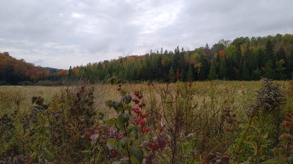 Haliburton TG Edwards Carpentry ,Building Restoration Service, | 1054 Liswood Rd, Haliburton, ON K0M 1S0, Canada | Phone: (905) 213-2424
