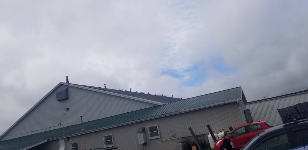 North Star Arena | 22 Recreation St, North Rustico, PE C0A 1X0, Canada | Phone: (902) 963-2696