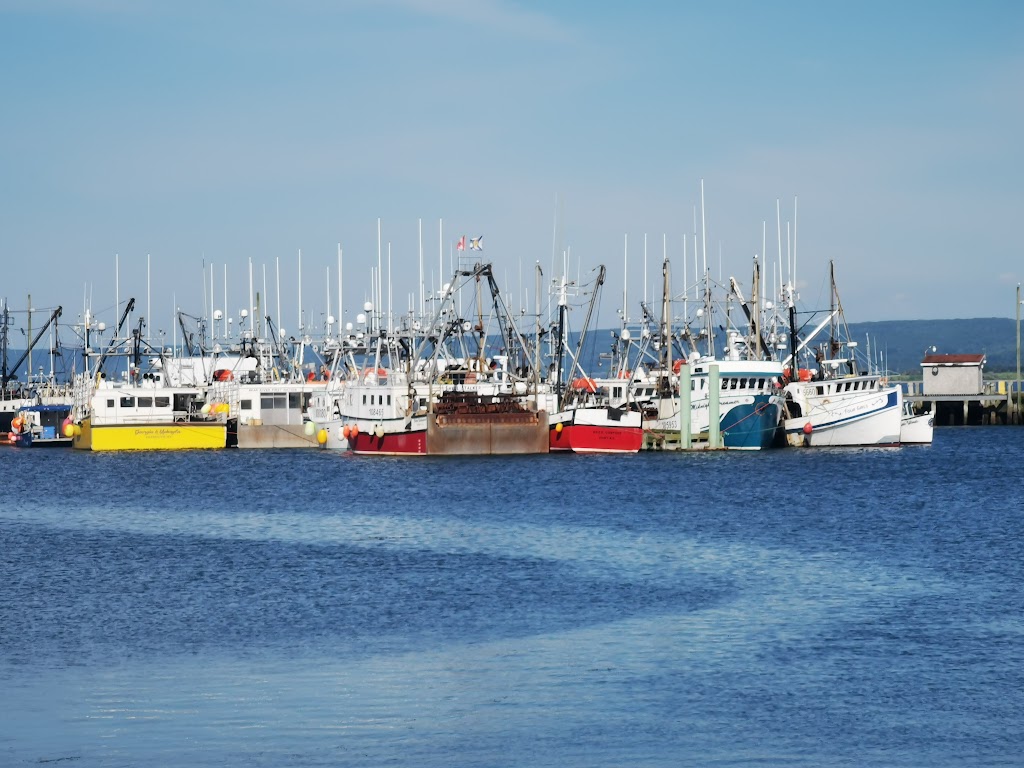 Annapolis Basin Charter Tours | 90 Water St, Digby, NS B0V 1A0, Canada | Phone: (902) 526-3583