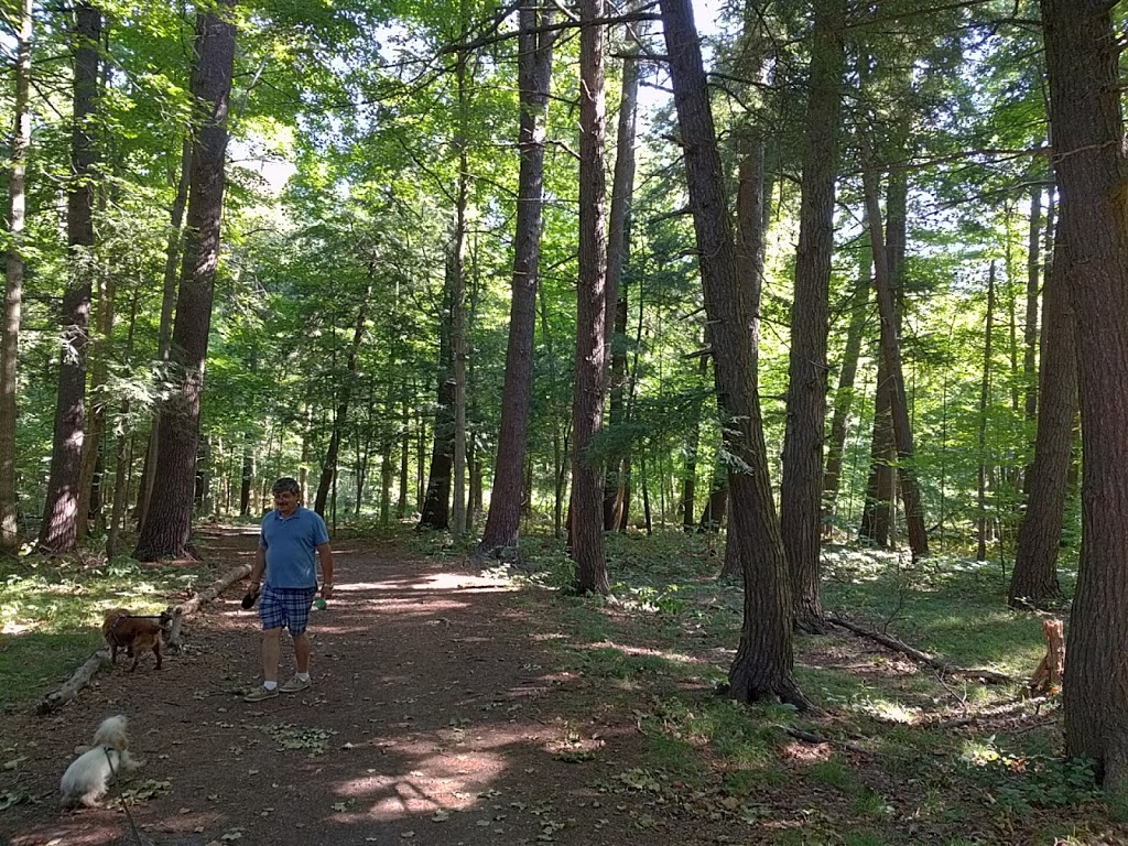 Boyd Conservation Park | 8739 Islington Ave, Woodbridge, ON L4L 1A6, Canada | Phone: (416) 661-6600