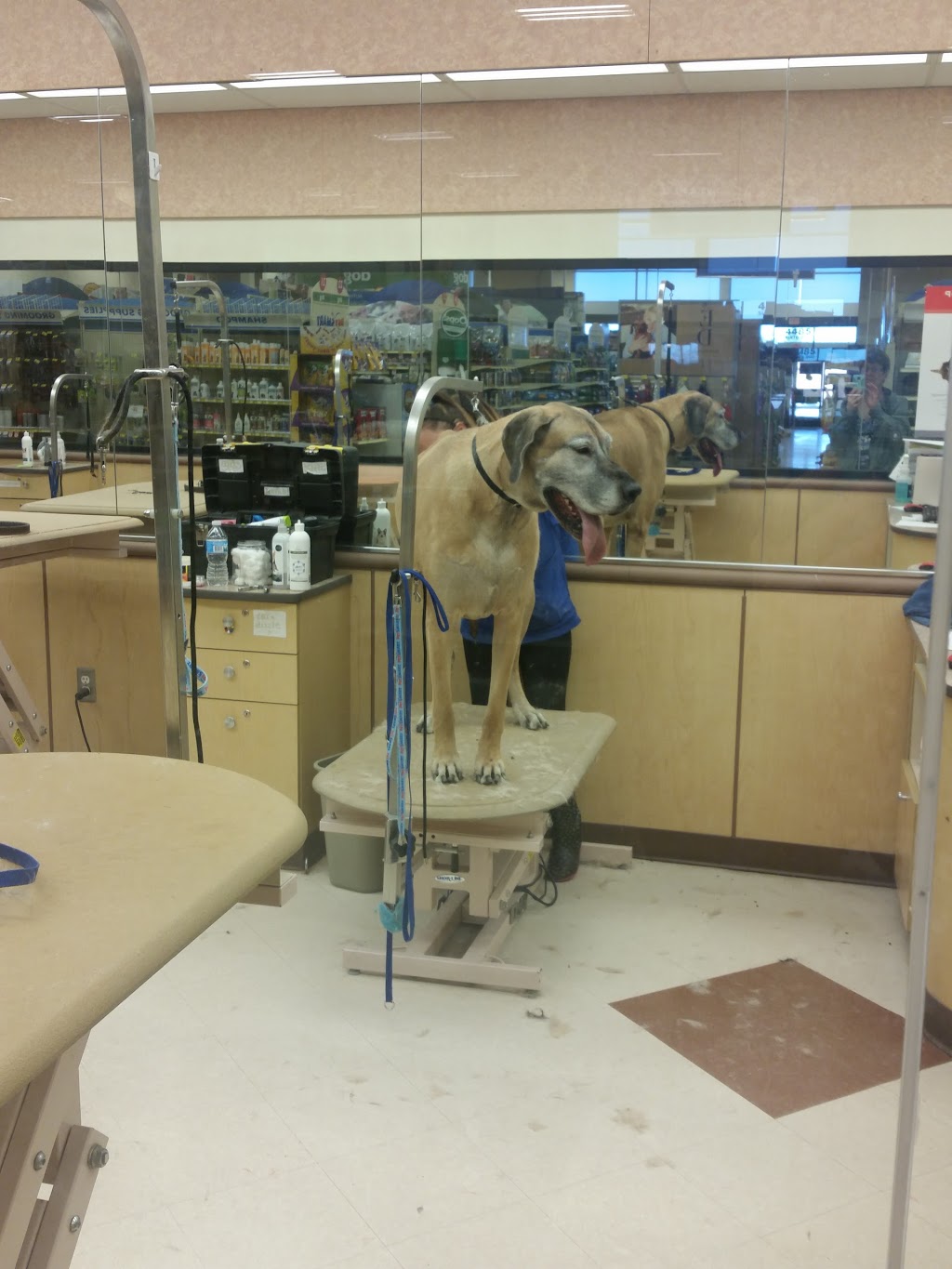 PetSmart | 4485 24th Ave, Fort Gratiot Twp, MI 48059, USA | Phone: (810) 385-4684