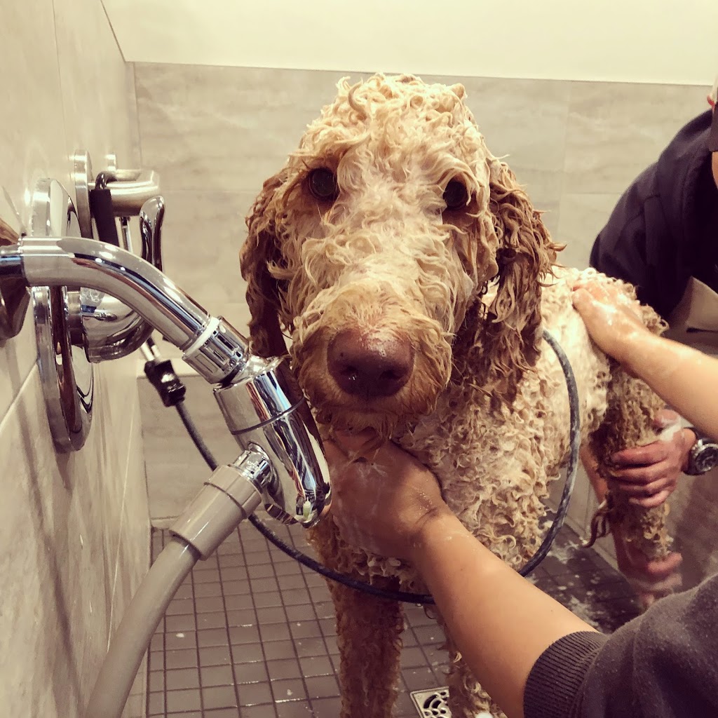 Lucky Paws Pet Supply and Dog Wash | 4485 Trans-Canada Hwy, Duncan, BC V9L 6L8, Canada | Phone: (250) 597-3647