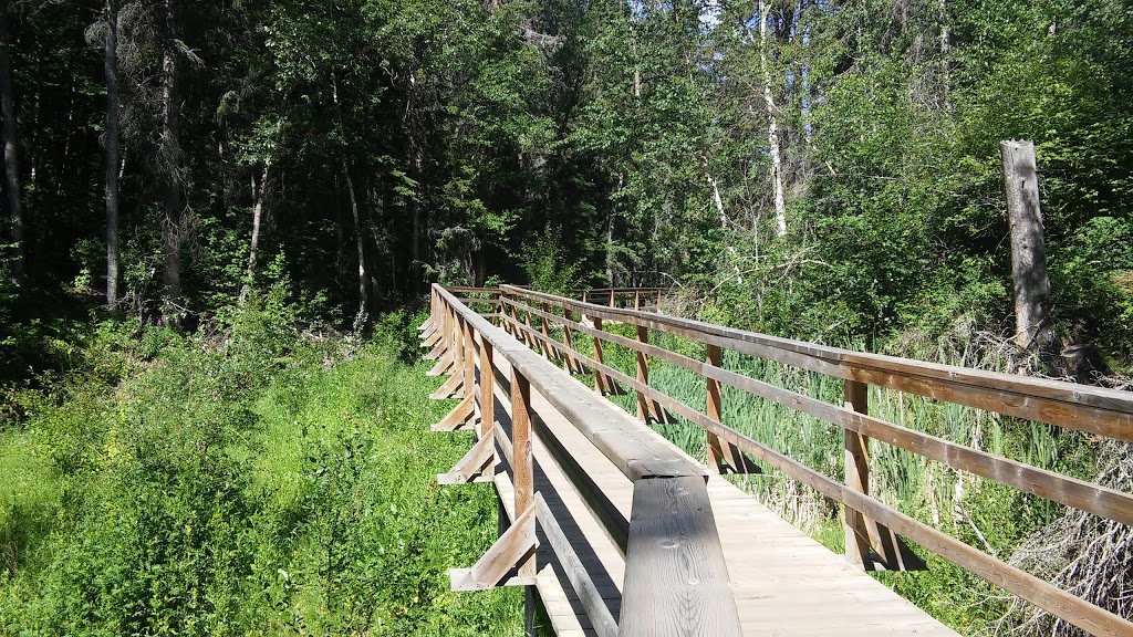 Mackenzie Ravine | 9413 142 St NW, Edmonton, AB T5R 0N2, Canada