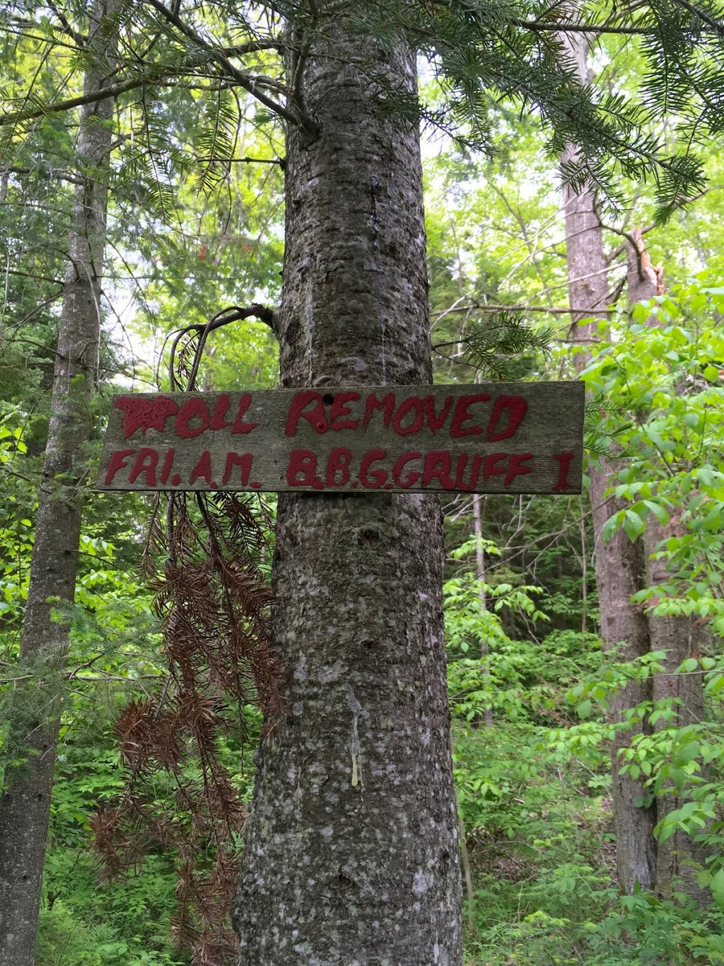 Camp Tewateno - Ontario Girl Guides of Canada | 1674 Gill Rd, Midhurst, ON L0L 1X0, Canada | Phone: (877) 323-4545 ext. 2413