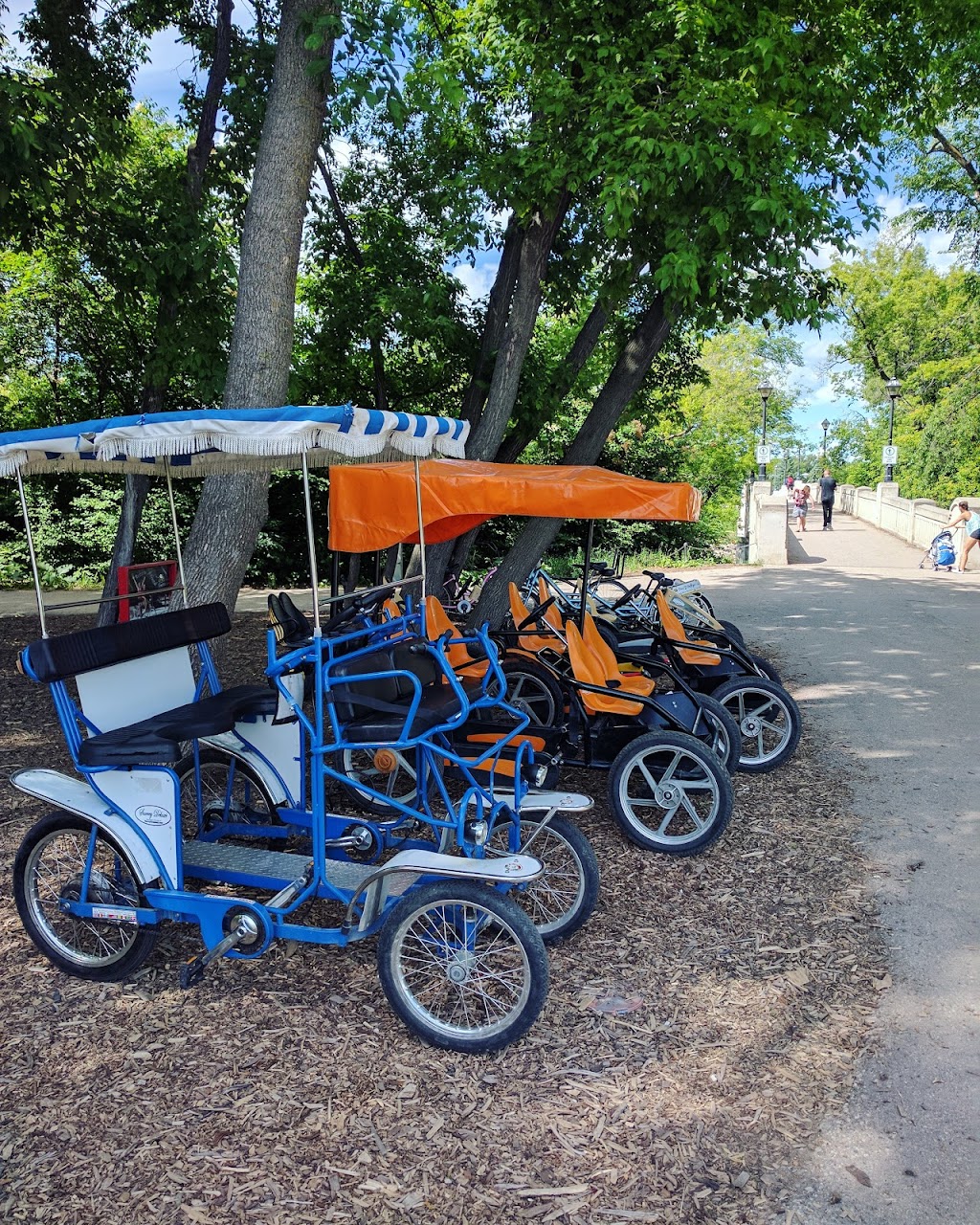 Bee2gether Bikes Assiniboine Park | 330 Assiniboine Park Dr, Winnipeg, MB R3P 2N7, Canada | Phone: (204) 298-2925