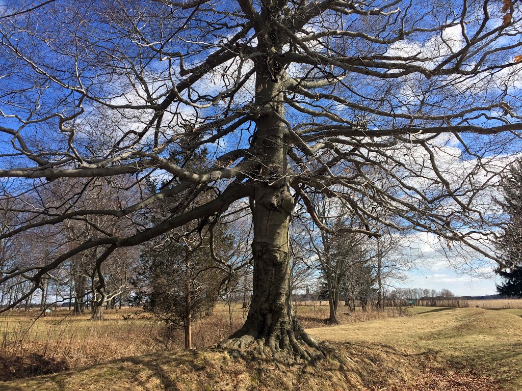 Southwold Earthworks National Historic Site | 7930 Iona Rd, Fingal, ON N0L 1K0, Canada | Phone: (905) 468-6614