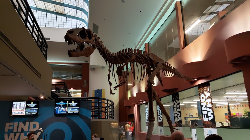 Buffalo Museum of Science | 1020 Humboldt Pkwy, Buffalo, NY 14211, USA | Phone: (716) 896-5200