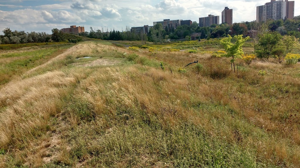 Springbank Meadows Park | 2210 Springbank Rd, Mississauga, ON L5H 3N5, Canada