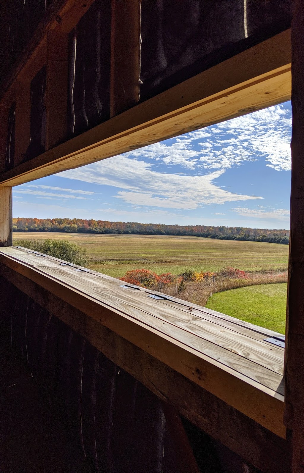 The Old Third Vineyard | 251 Closson Rd, Hillier, ON K0K 2J0, Canada | Phone: (613) 471-0471