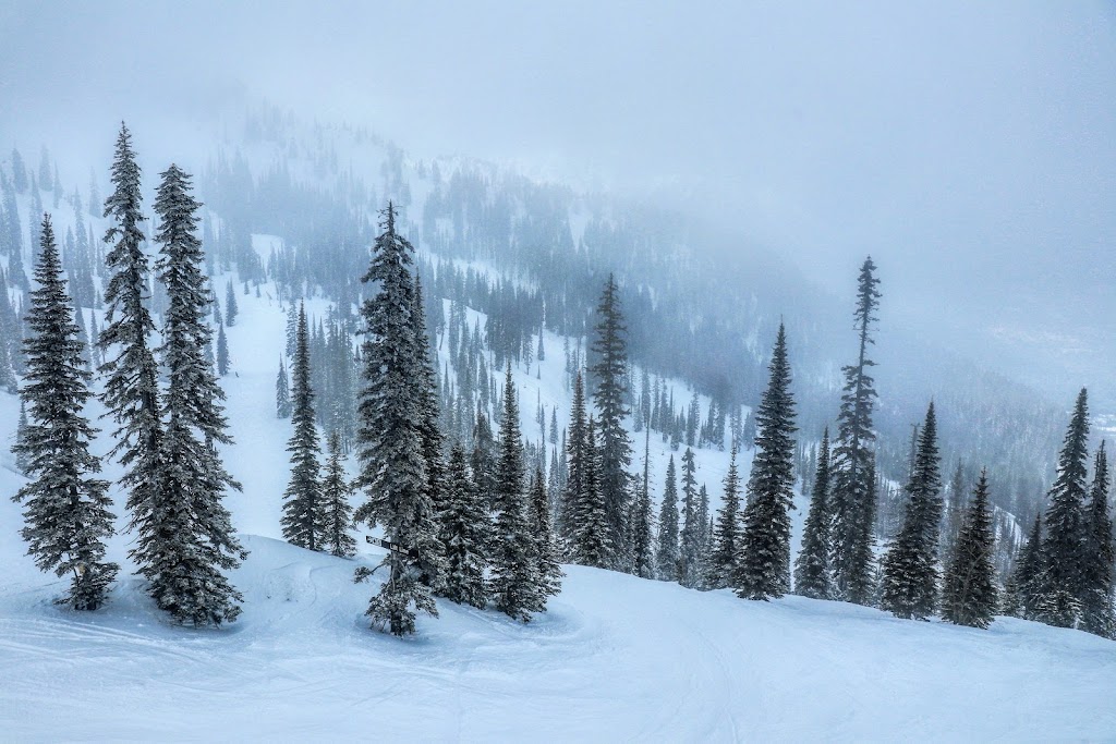 Fernie Alpine Resort | 5339 Fernie Ski Hill Rd, Fernie, BC V0B 1M6, Canada | Phone: (250) 423-4655