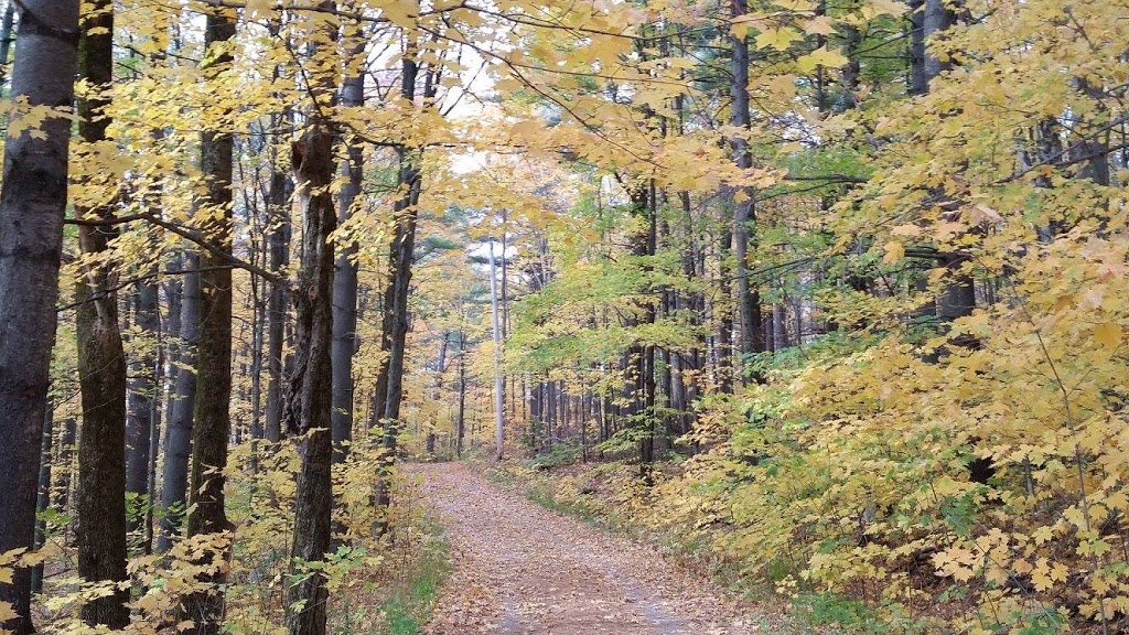 Élise Gagné Thérapie Crânio-Sacrée | 59 Rue Principale Suite 1, Frelighsburg, QC J0J 1C0, Canada | Phone: (450) 298-1202