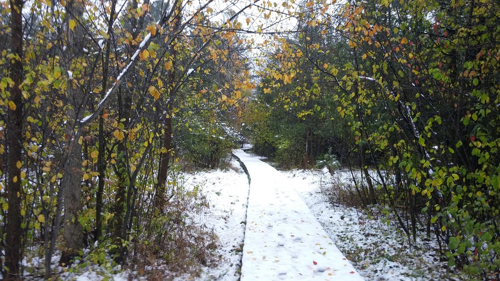Stony Swamp | 4897 Old Richmond Rd, Nepean, ON K2R 1G8, Canada