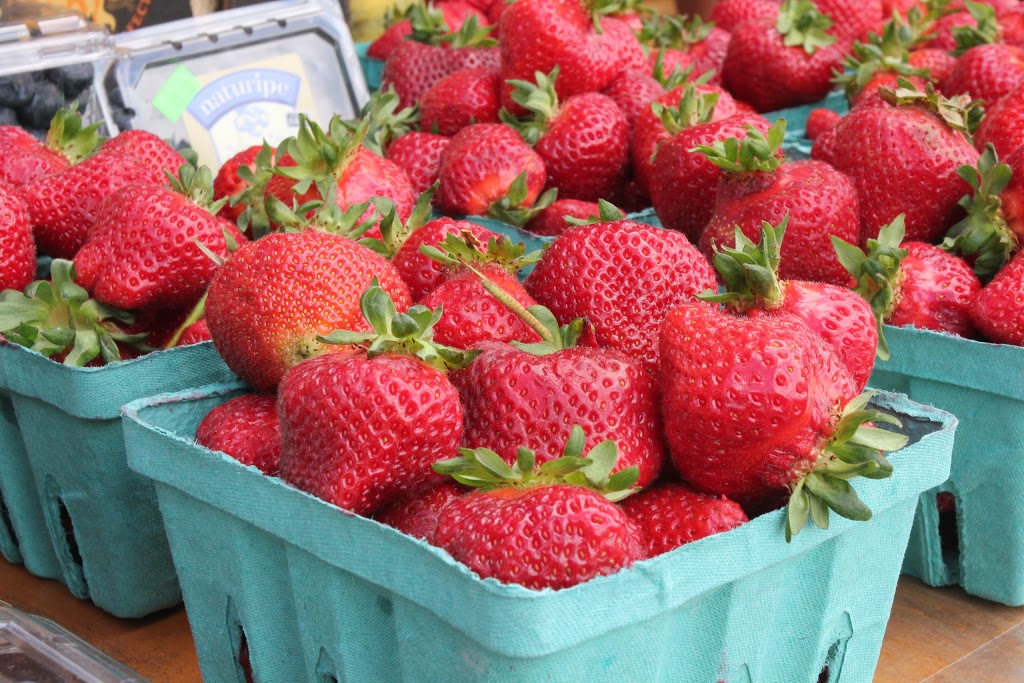 The Green Barn | 211 Birch Bay Lynden Rd, Lynden, WA 98264, USA | Phone: (360) 318-8869