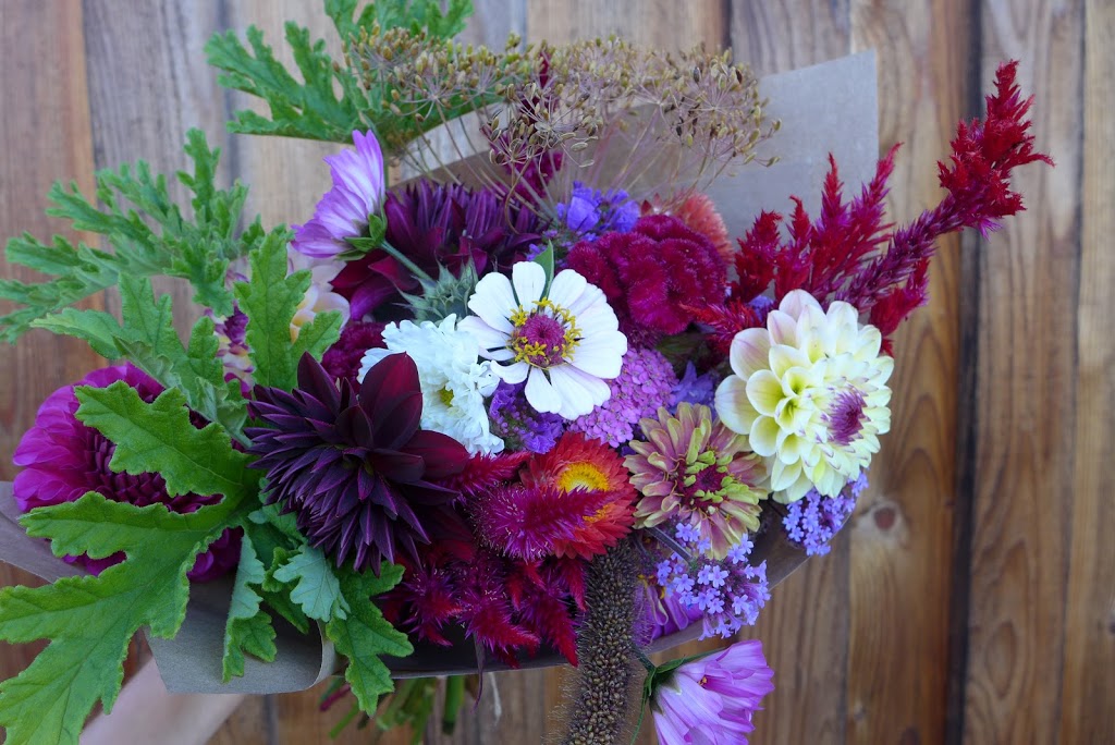 Dancing Dandelion Farms | 3204 Drinkwater Rd, Duncan, BC V9L 5Z2, Canada | Phone: (250) 510-7592